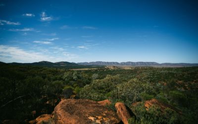 The Dangers of Travelling in the Australian Outback
