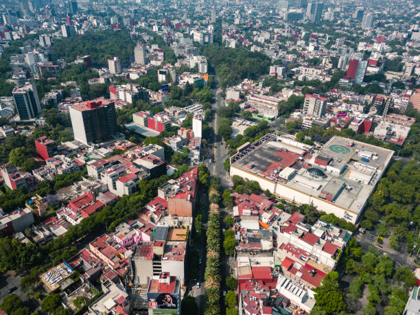 A beautiful street in the Roma Norte neighborhood