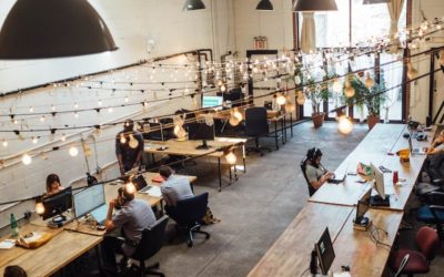 How Co-working Spaces Cater to the Needs of Digital Nomads