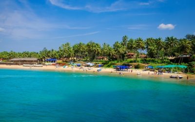 The Ultimate Digital Nomad Guide To Goa