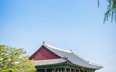 The Full Digital Nomad Guide To Seoul, South Korea