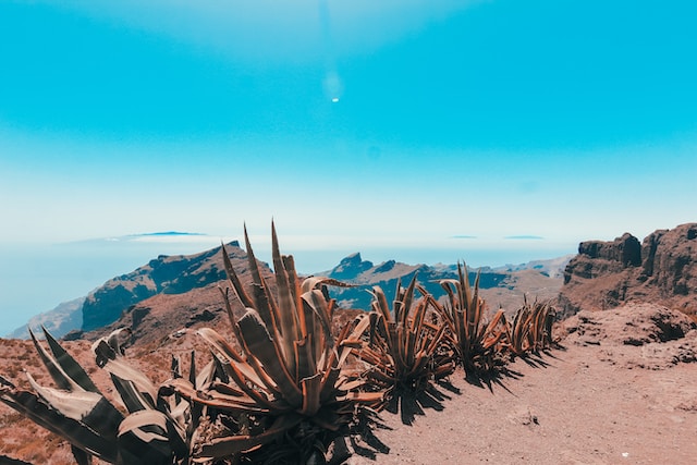 Tenerife, Canarias, Spain