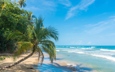 Costa Rica Digital Nomad Visa: Everything You Need To Know 2024